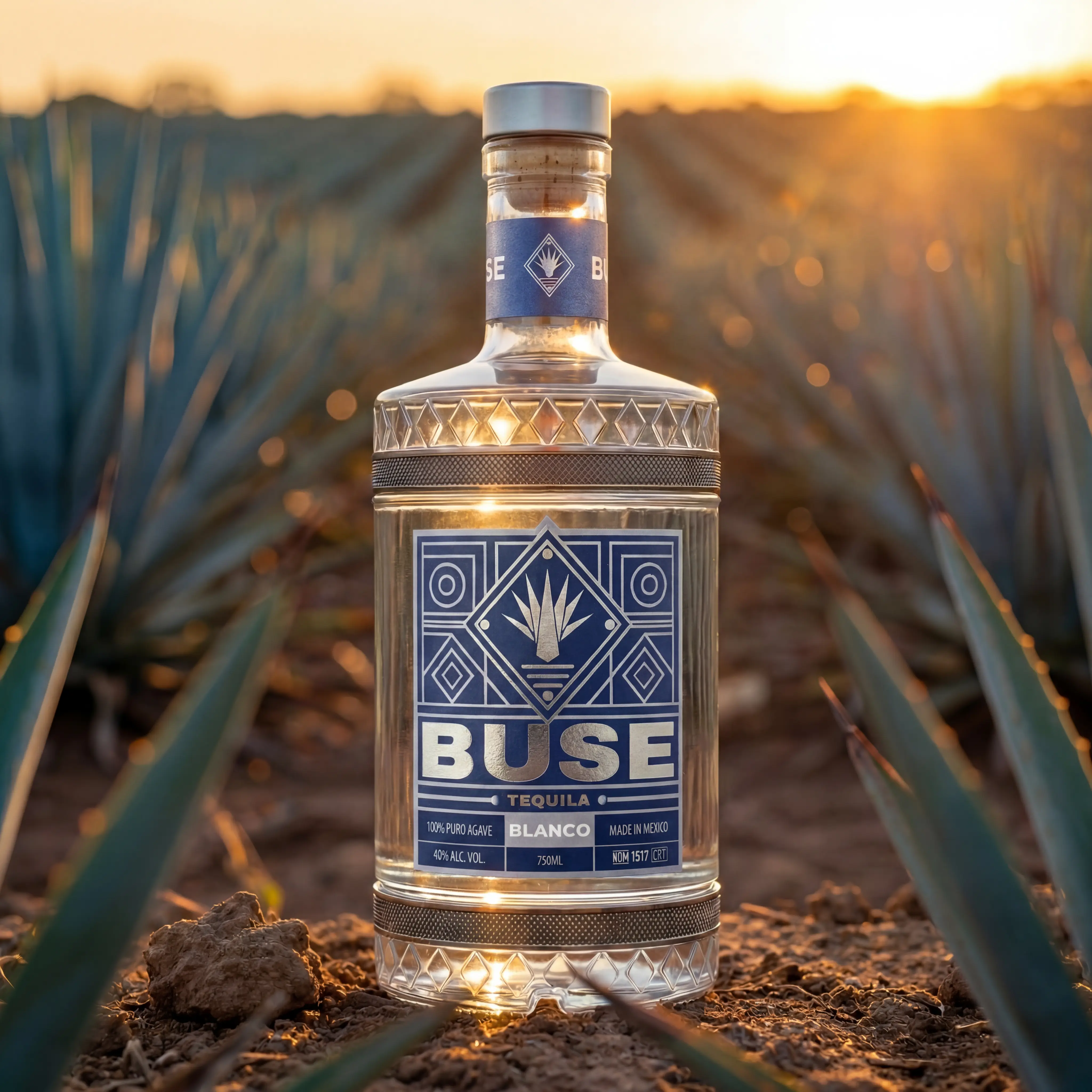 BUSE Tequila in Agave Fields